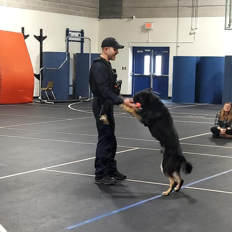 K-9 Haki and Officer Lipka